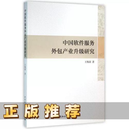 正版书 中国软件服务外包产业升级研究